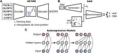 Deep learning approaches for conformational flexibility and switching properties in protein design